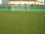 Sportgrass